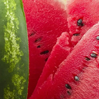 Watermelon - Арбуз