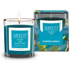 Ароматическая свеча Areon Under the Mystic Tree 120гр