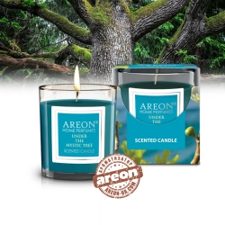 Ароматическая свеча Areon Under the Mystic Tree 120гр