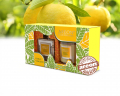 Набір ароматизаторів Areon Home Perfumes Dolce Viaggio SHP16