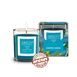 Ароматическая свеча Areon Under the Mystic Tree 120гр