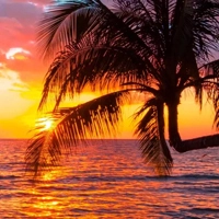 Hawaii - Гаваи