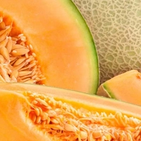 Melon - Дыня