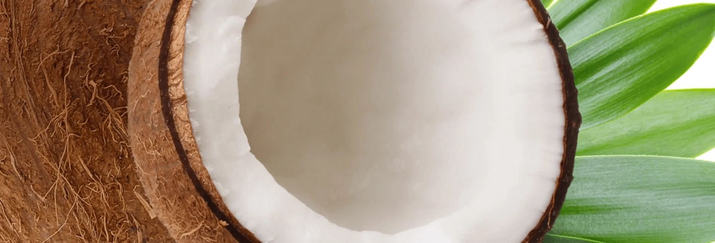 Coconut - Кокос