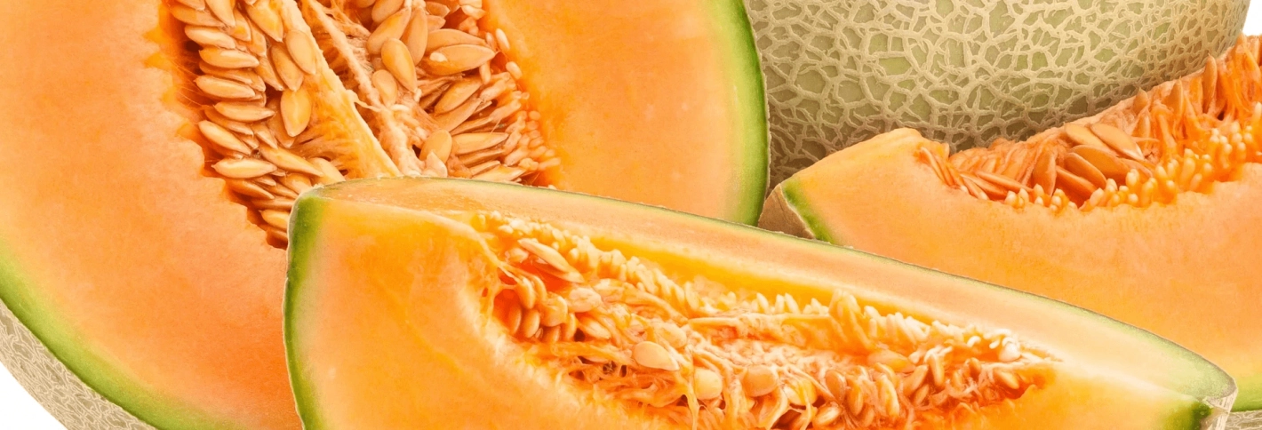 Melon - Диня