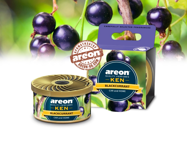 Ароматизатор повітря Areon KEN Blackcurrant