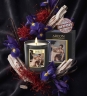 Ароматическая свеча Areon Home Perfumes Maestri Venere e Adone CMS04