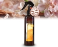Ароматизатор повітря Areon Room Spray 250мол Zefira SR01