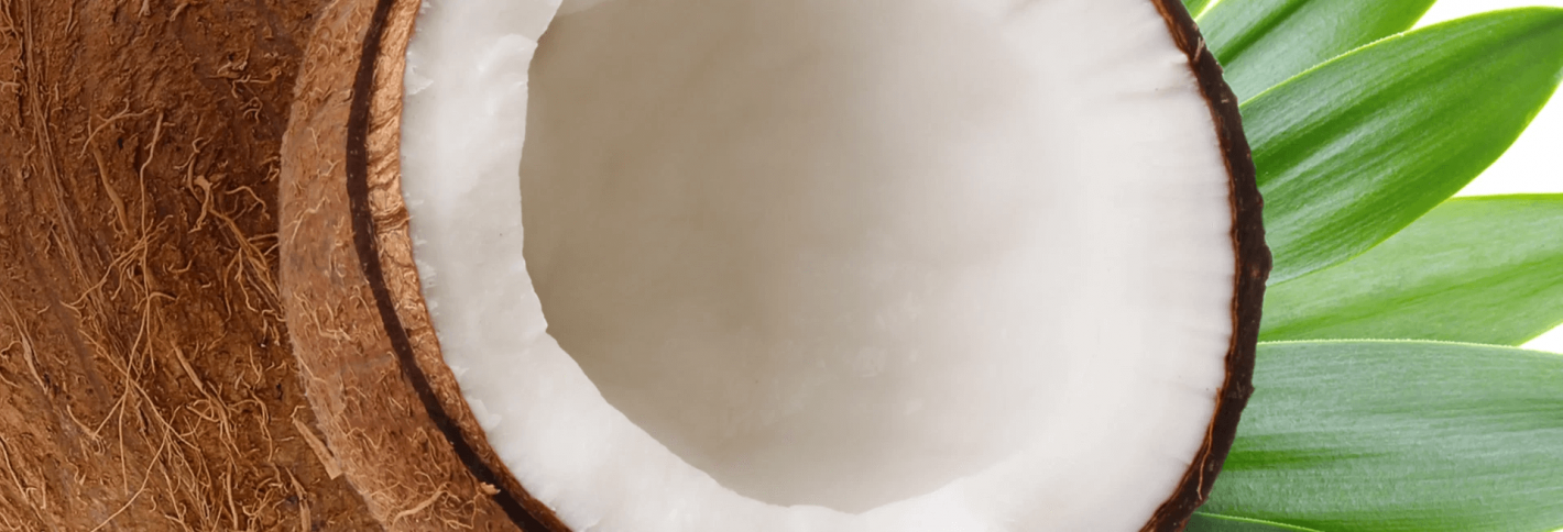 Coconut - Кокос