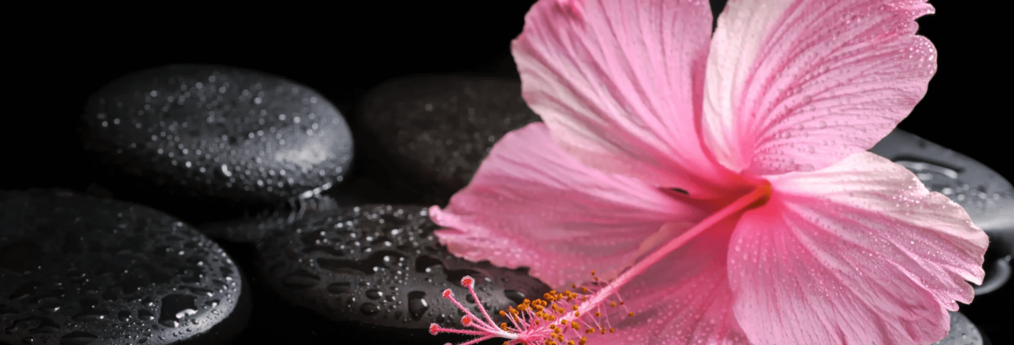 Desire - Бажання