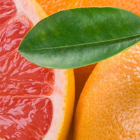 Grapefruit - Грейпфрут