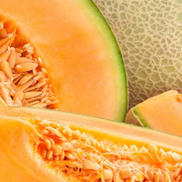 Melon - Диня