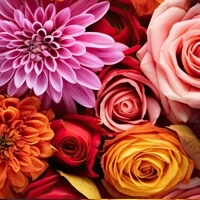 Bouquet