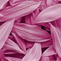 Leger - Легкий Повітряний