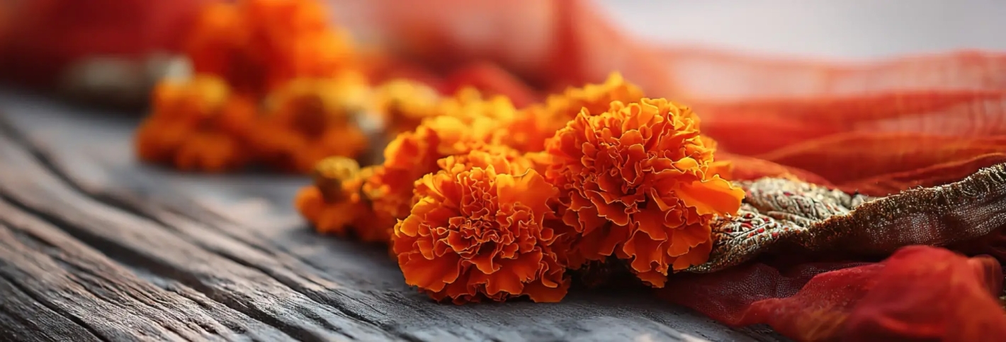 White Wood - Белый Лес