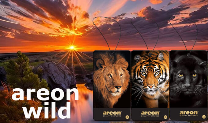 Areon Wild
